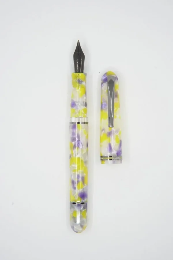 Viola Colibrì Fountain Pen